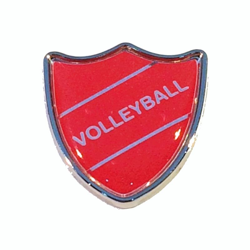 VOLLEYBALL badge